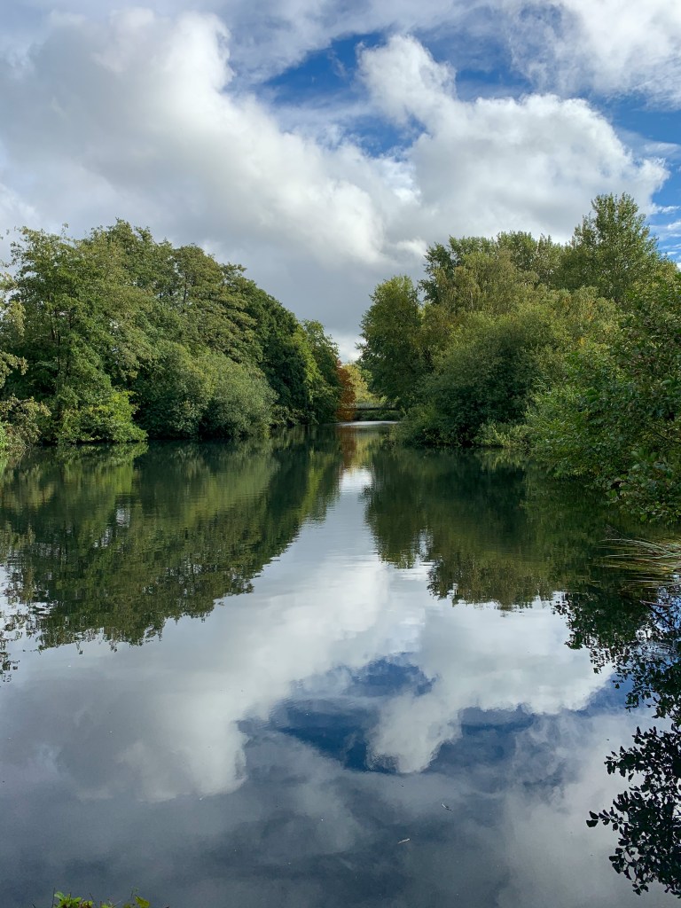 A picture of a lake with the reflection of green trees, the blue sky, and white clouds appearing in the surface of the lake